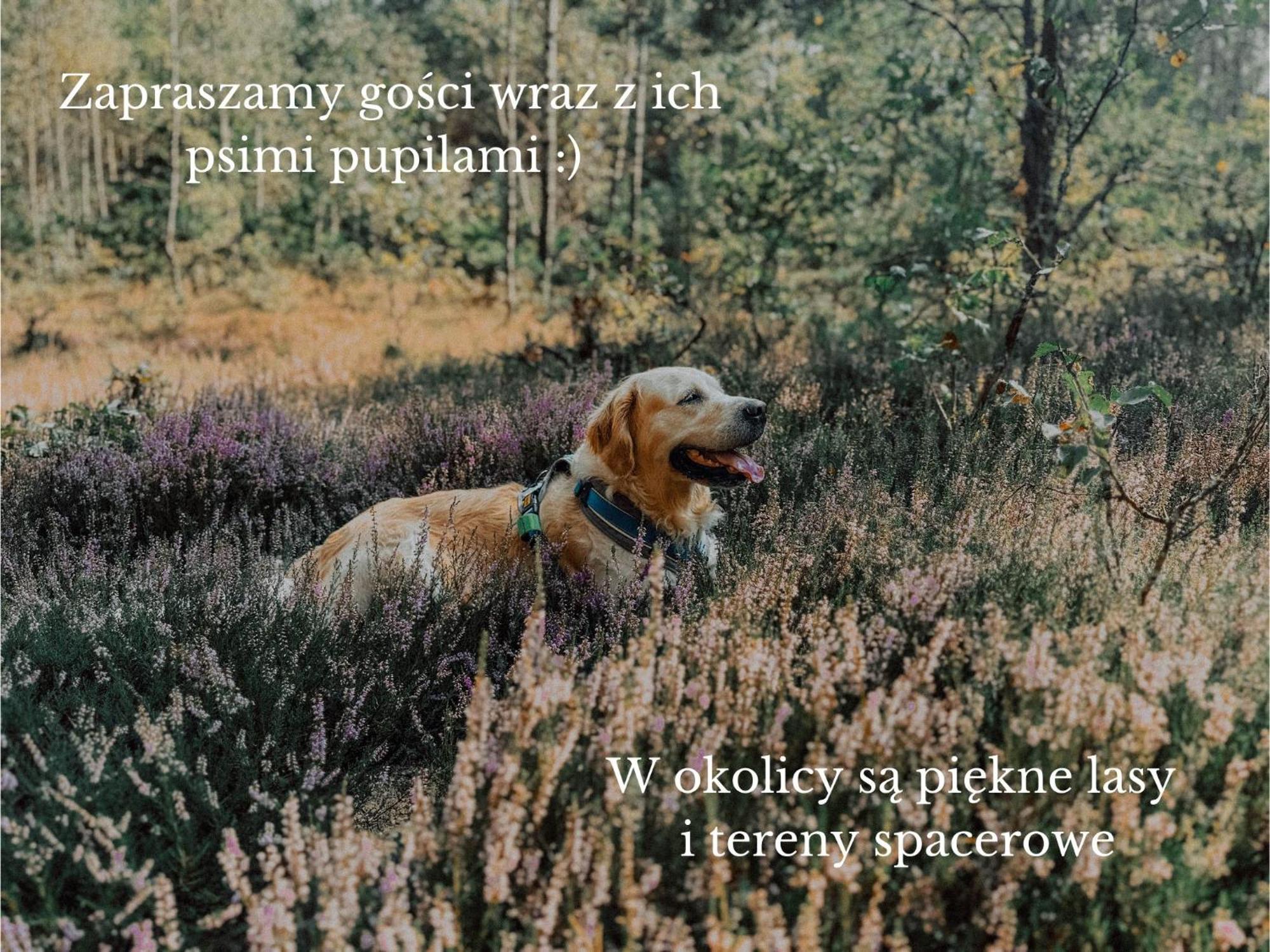 Boho Przystan Lazy (West Pomeranian) Exterior photo